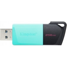 256GB USB3.2 Kingston DataTraveler Exodia M Black/Blue